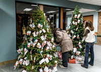 2016 Giving Trees