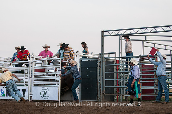 Rodeo-7748