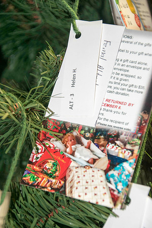 GivingTree-9