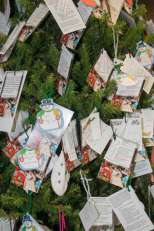 GivingTree-5