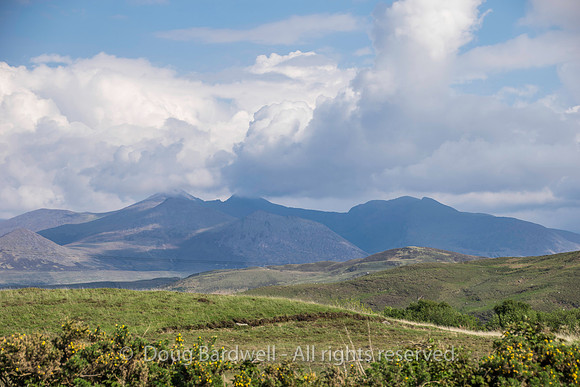 Ireland-4614