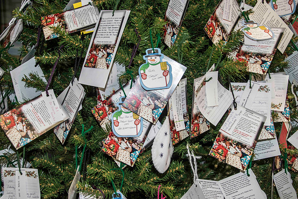 GivingTree-4