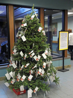 GivingTree14
