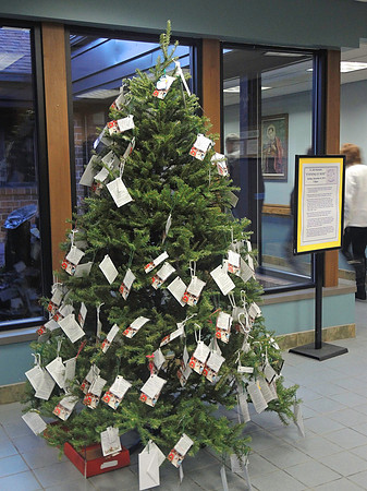 GivingTree14
