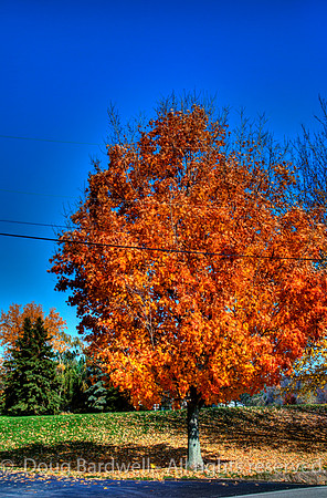 121024-3278__H