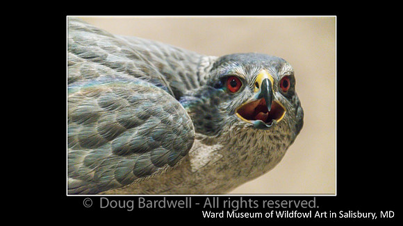 Slide72