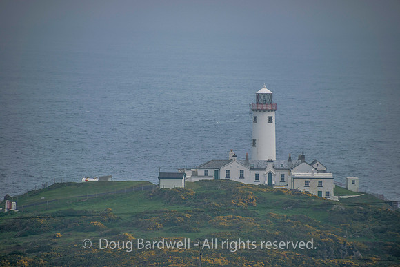 Donegal-1546