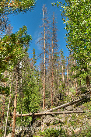 100808_3CS1542_H
