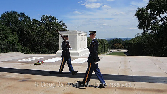 Arlington-9408