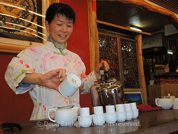 Fungcha-5193