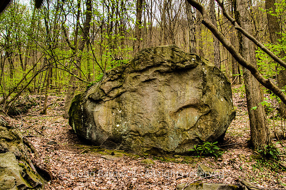 29-Great_Allegheny_Passage