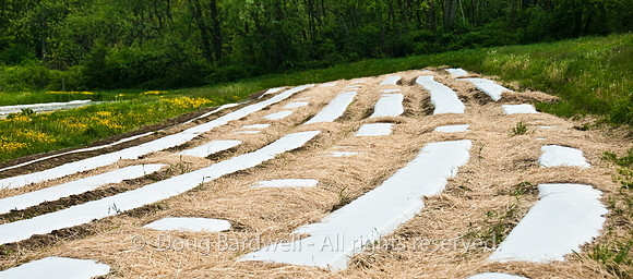 100514_3CS9884