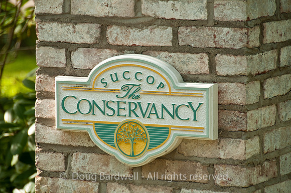 100515_3CS0057