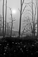 110730110730_DSC0001_Compressor-PS