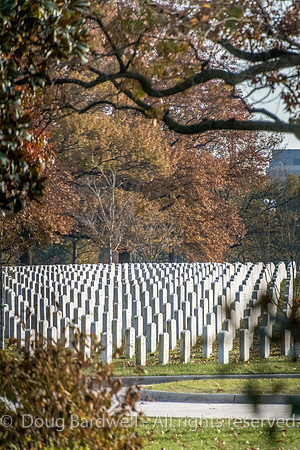 Arlington -181119-9591