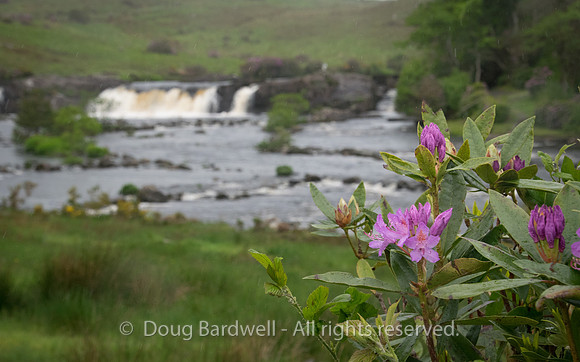 County-Mayo-2621