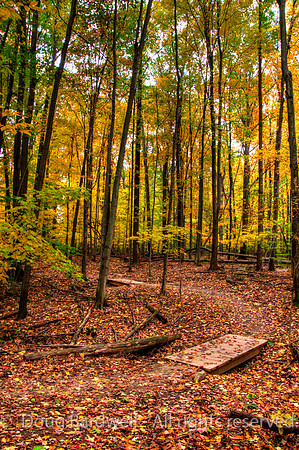 121016-2078