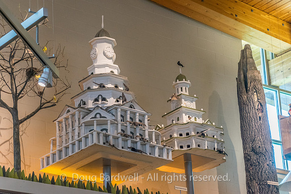 Presque_Isle-9328