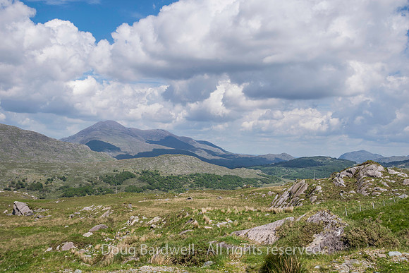 Ireland-5258