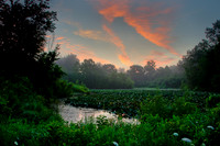 110730Compressor9from_110730_DSC9744Set11-H