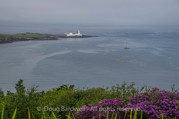 Ireland-4904