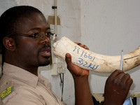 111012IMG_0346