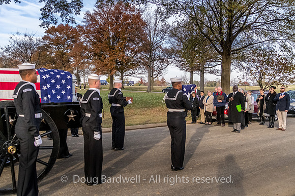 Arlington -181119-9733