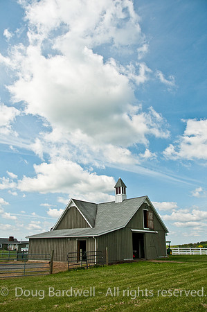 100515_3CS0252