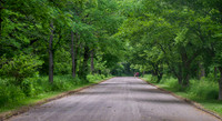 Sheldons Marsh Nature Preserve
