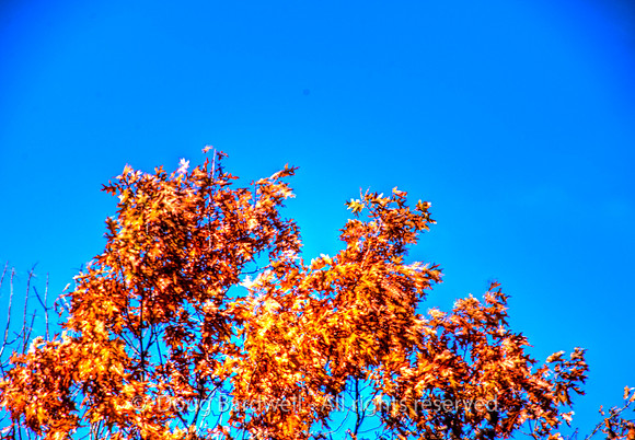 121016-2534_H