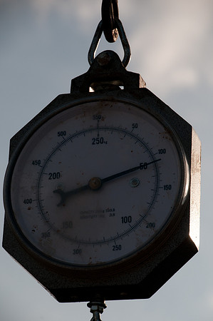 120221DSC_2256