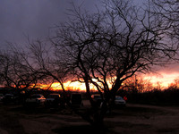 120220IMG_3579