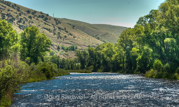 100806_3CS1043_H