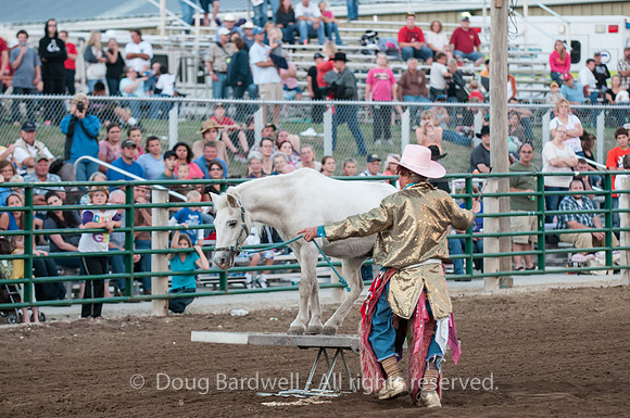 Rodeo-7826