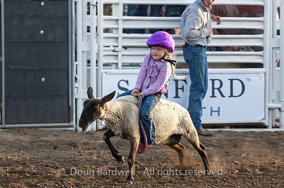 Rodeo-5932