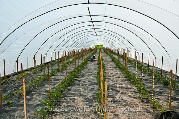 100514_3CS9874