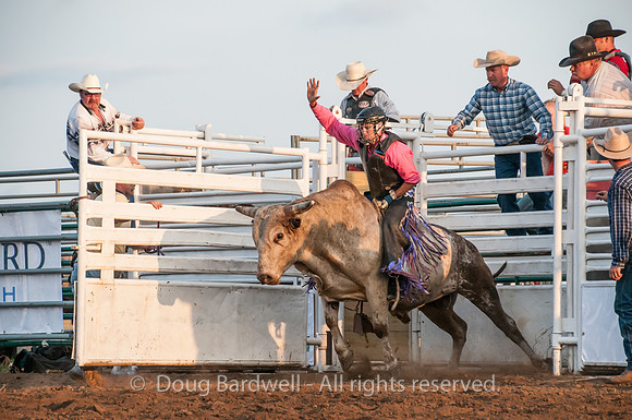 Rodeo-7649