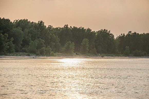 Sheldons_Marsh-8378
