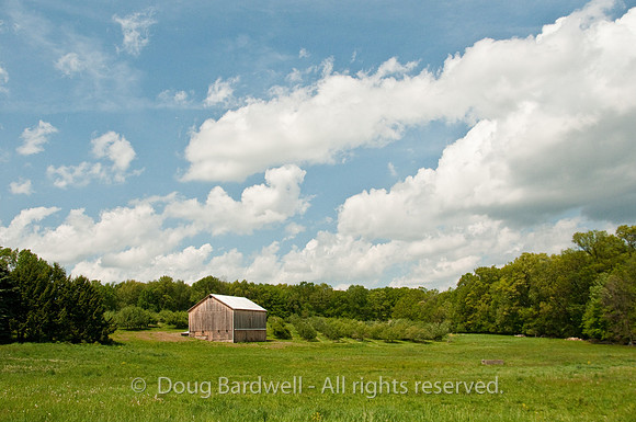 100514_3CS9773