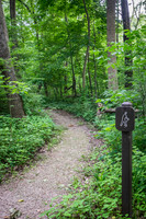 Sheldons_Marsh-8310