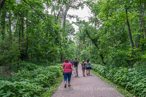 Sheldons_Marsh-8294