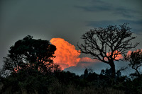 Inn on Ruparara and game drive