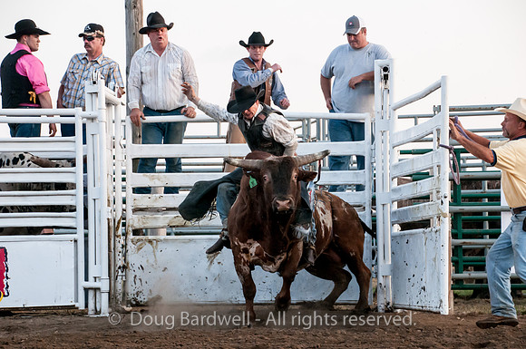 Rodeo-7678