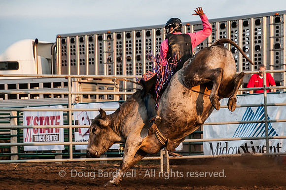 Rodeo-7655