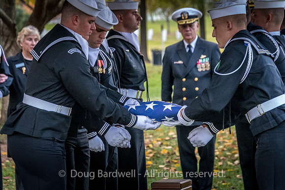 Arlington -181119-9848