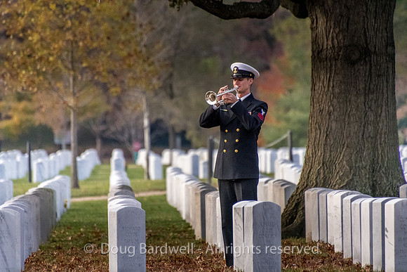 Arlington -181119-9826