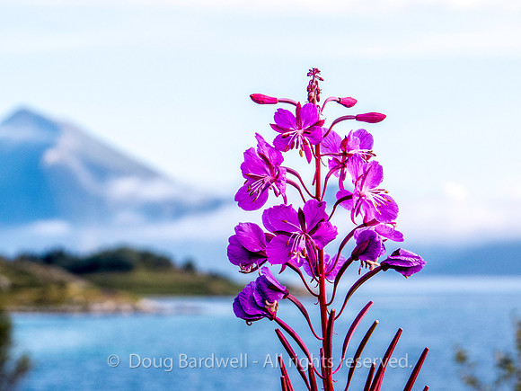 Norway-0794