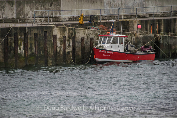 Donegal-1397