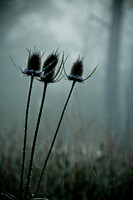 110730_DSC0009_H_Compressor