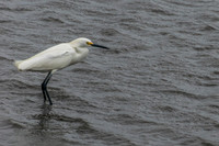 Prime Hook Wildlife Refuge